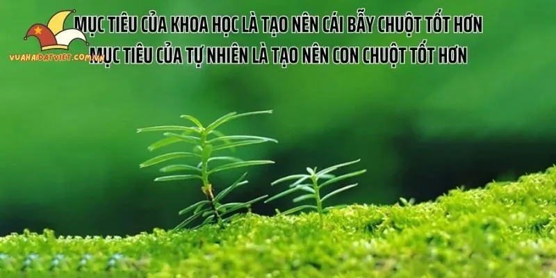 Ông bà ta nói mà không sai chút nào trong đối nhân xử thế
