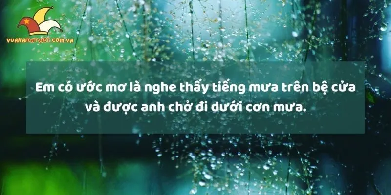 Tại sao câu nói hài lầy lội cho ngày mưa buồn lại được yêu thích