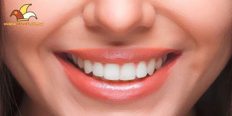 Tìm thấy sự đồng cảm trong truyện hài hước về cuộc sống thường ngày tình yêu