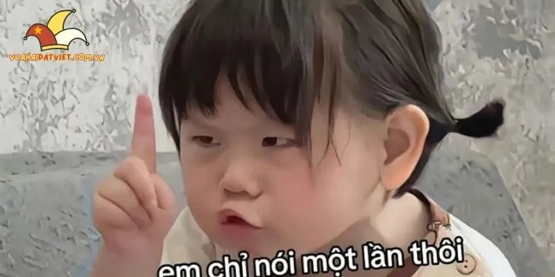 Tổng hợp câu chuyện hài hước từ đời thật về những con vật ngộ nghĩnh