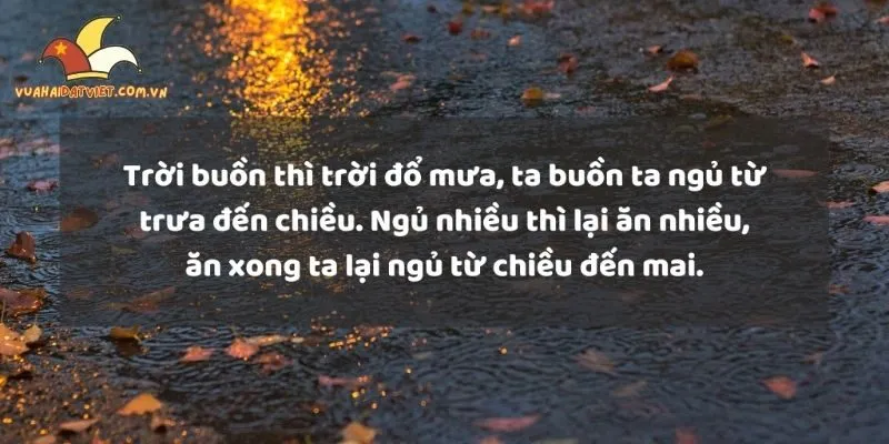 Tổng hợp những câu nói hài lầy lội cho ngày mưa buồn bá đạo
