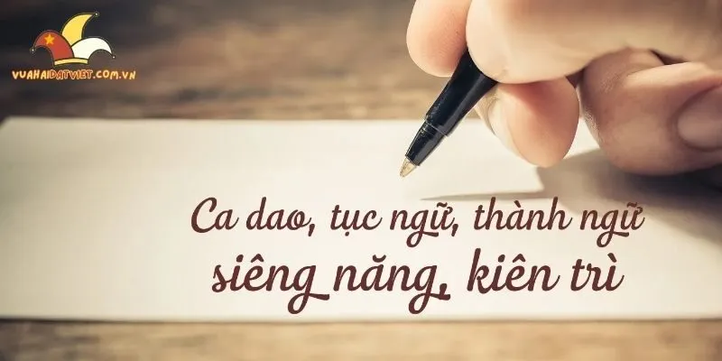 Top tục ngữ được giải nghĩa theo phong cách hài tại vuahaidatviet.com.vn