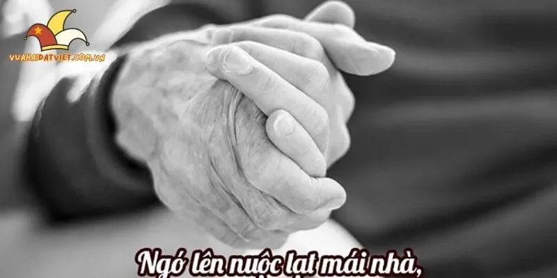 Tục ngữ ông bà xưa phiên bản tấu hài - nguồn gốc và ý nghĩa